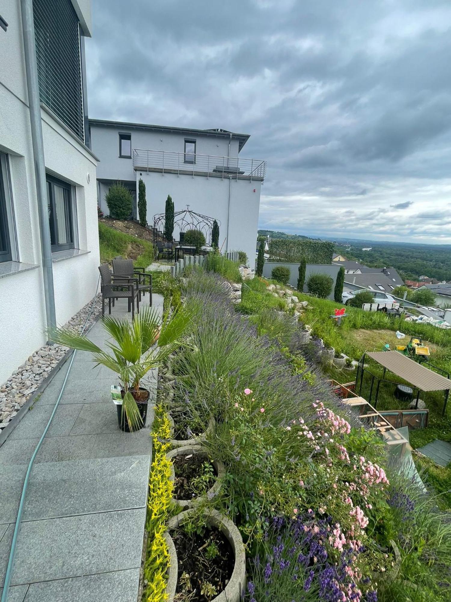 Vogesenblick Apartment Bad Bellingen Bagian luar foto