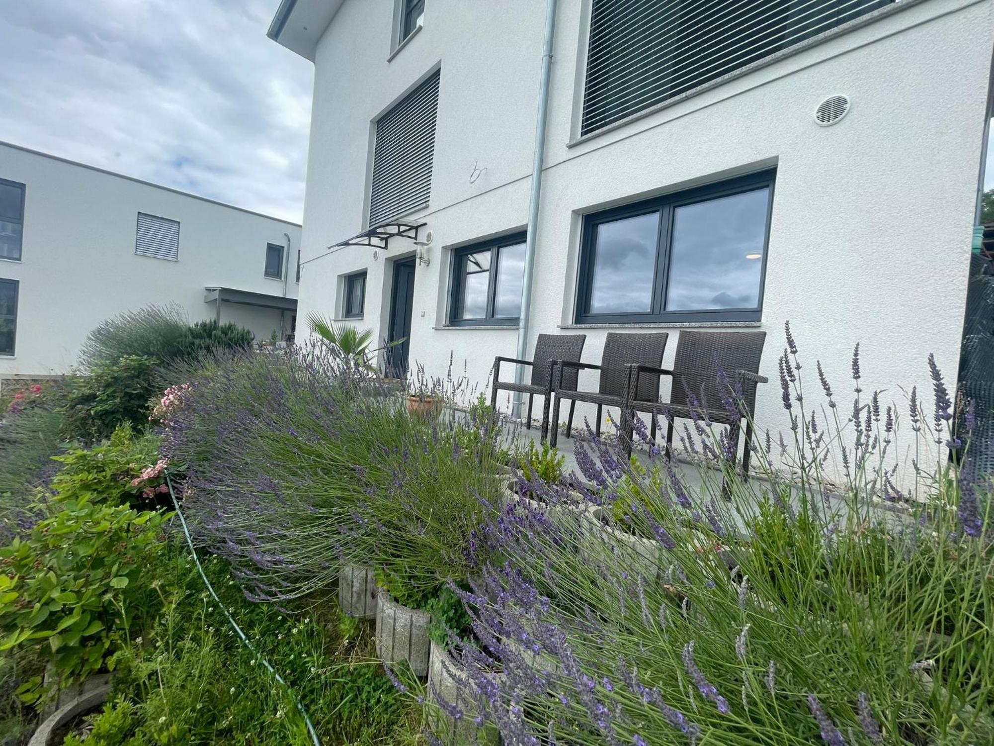 Vogesenblick Apartment Bad Bellingen Bagian luar foto