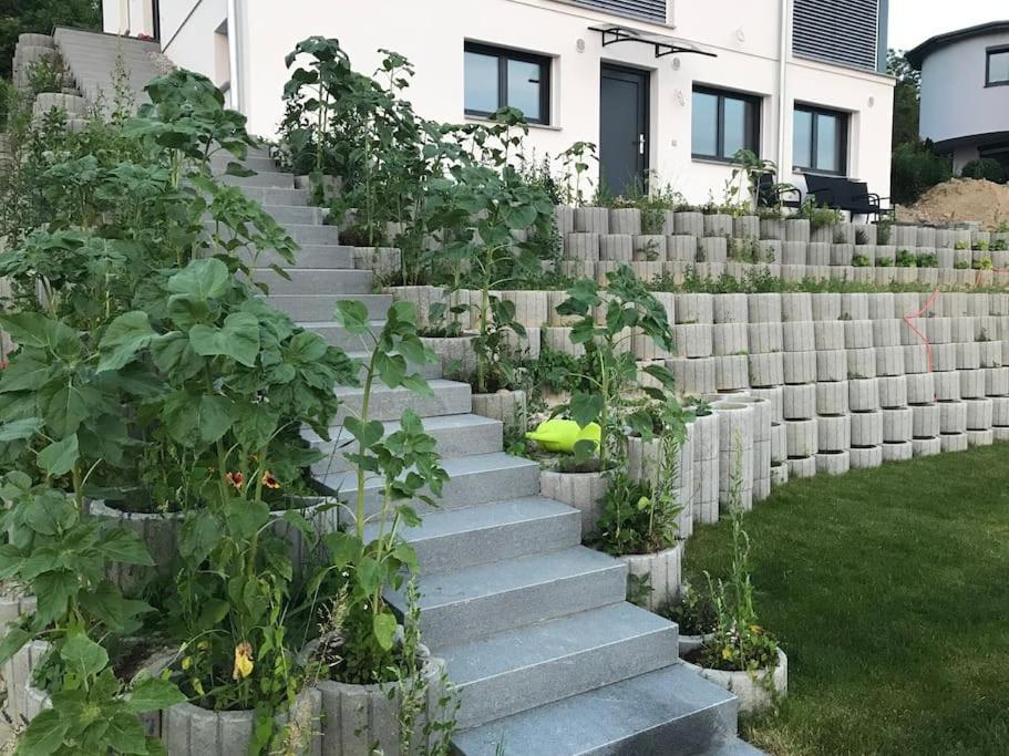 Vogesenblick Apartment Bad Bellingen Bagian luar foto